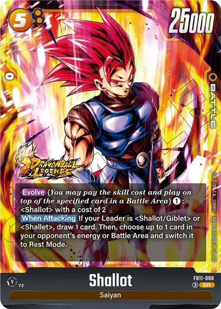 Shallot