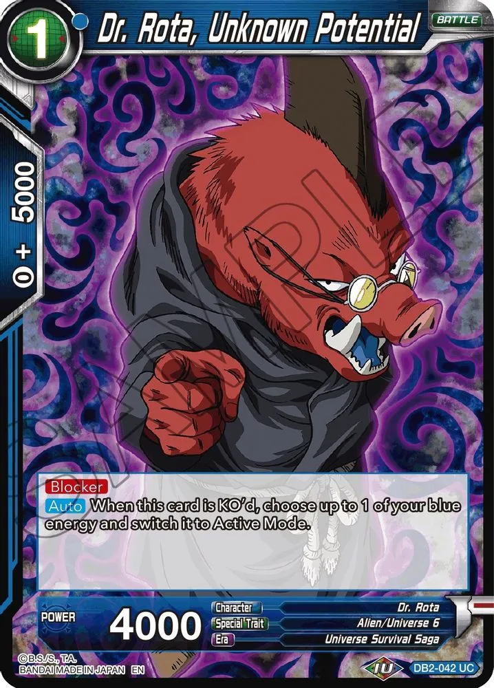 Dr. Rota, Unknown Potential (Reprint)