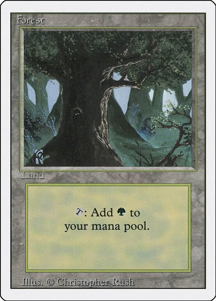 Forest (C)