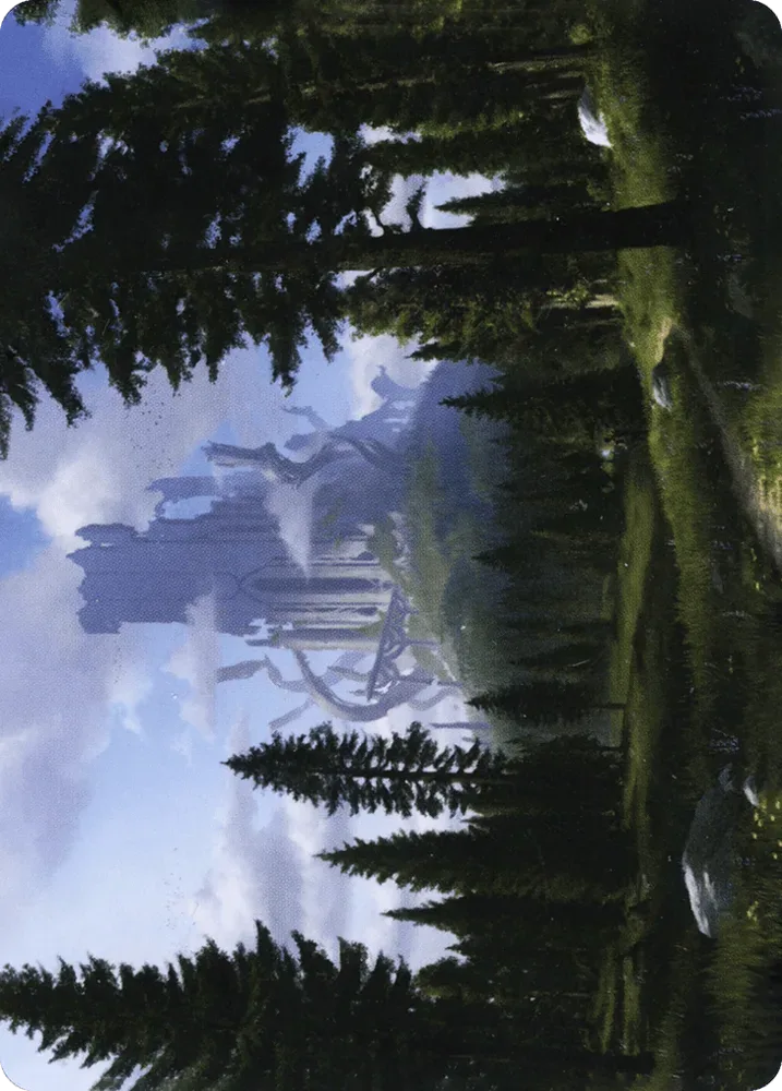 Forest