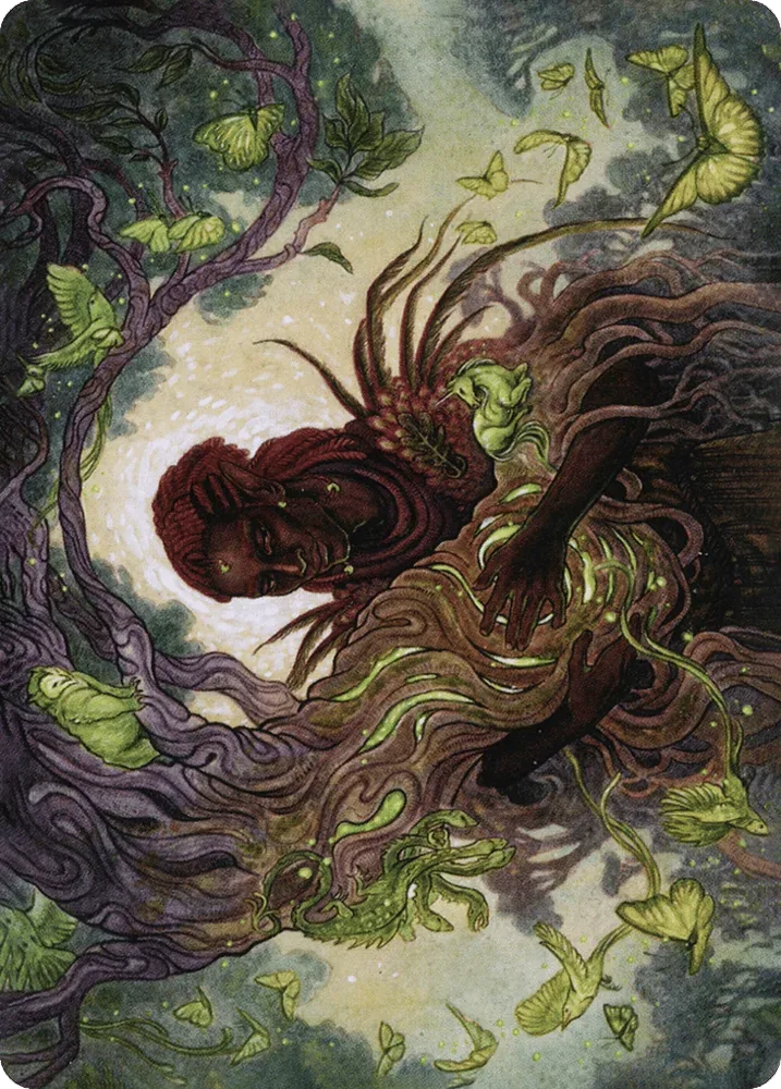 Circle of Dreams Druid