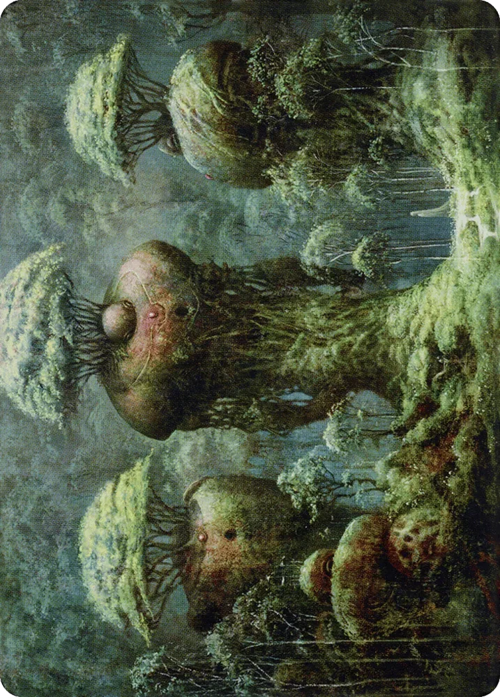 Forest