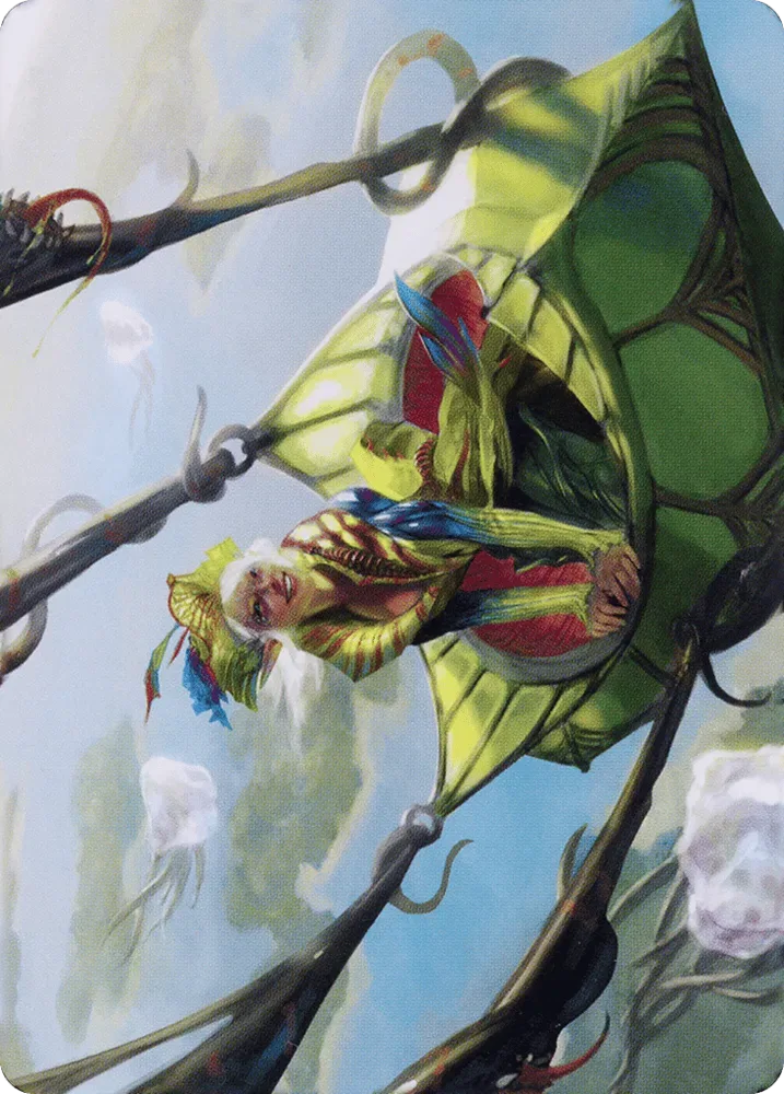 Nael, Avizoa Aeronaut