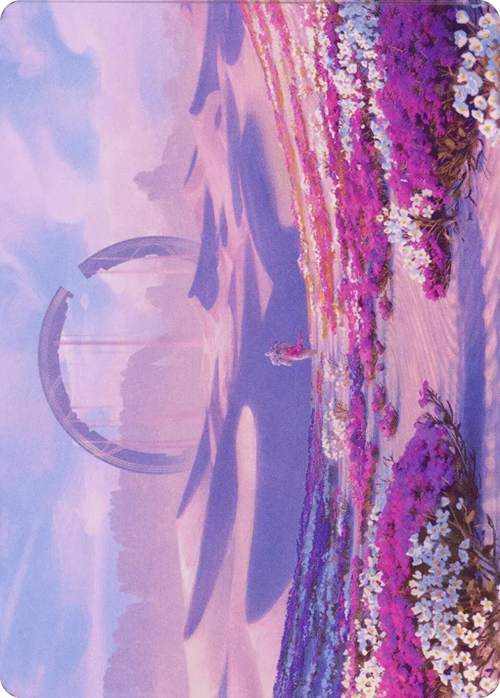 Plains