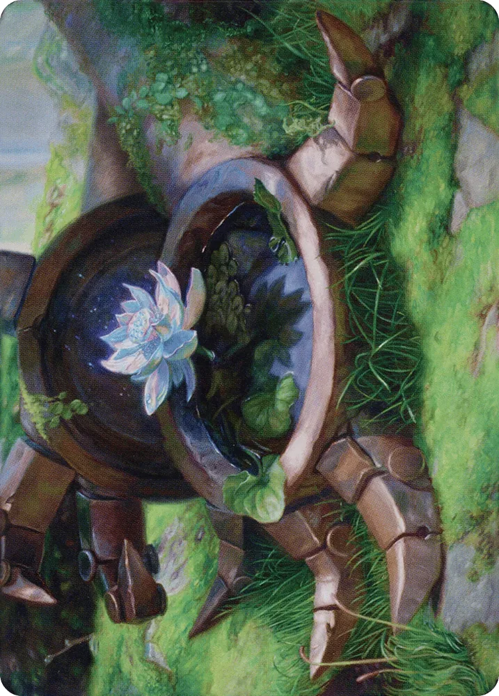 Timeless Lotus