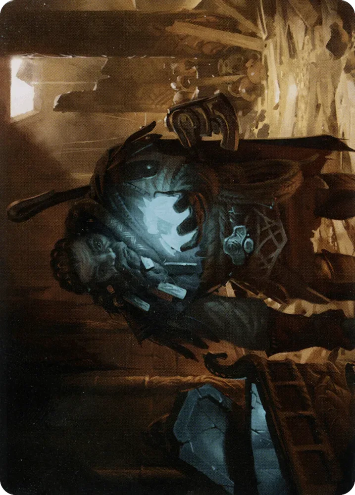 Vault Robber