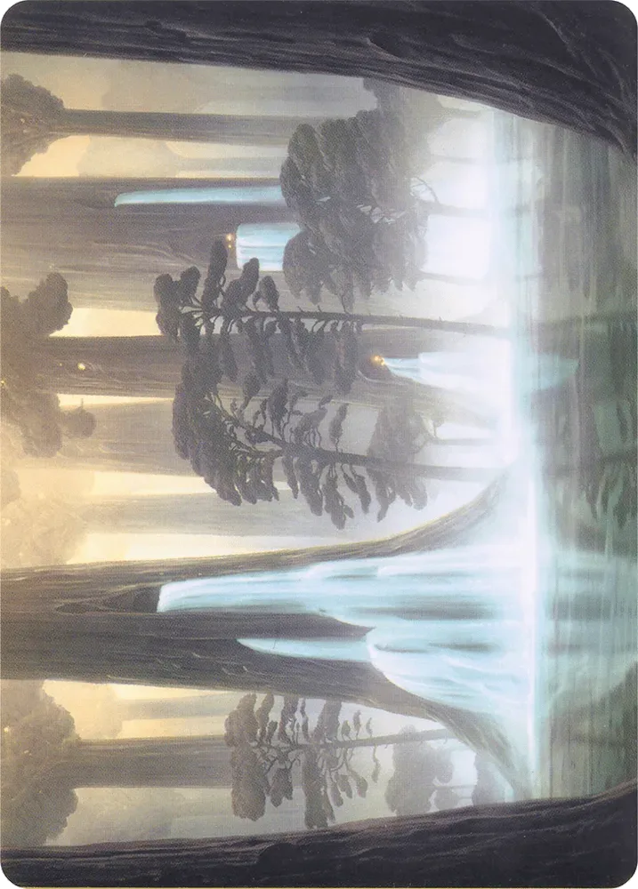 Waterlogged Grove