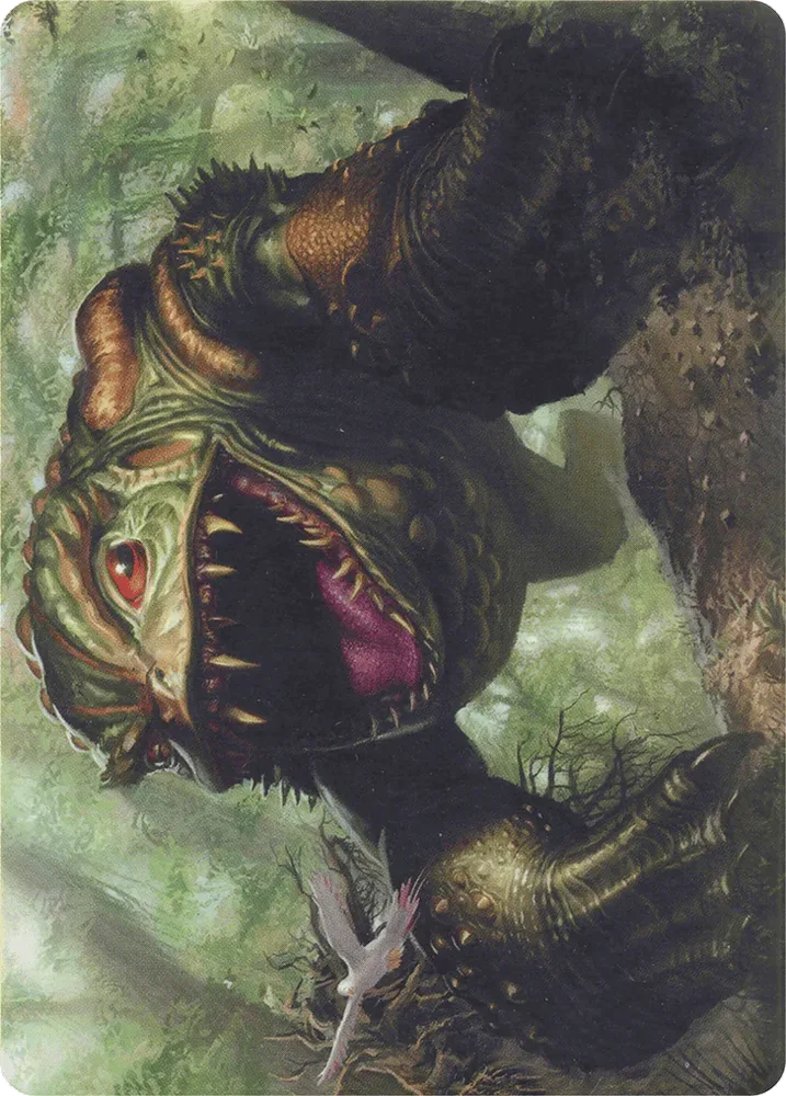 Excavating Anurid