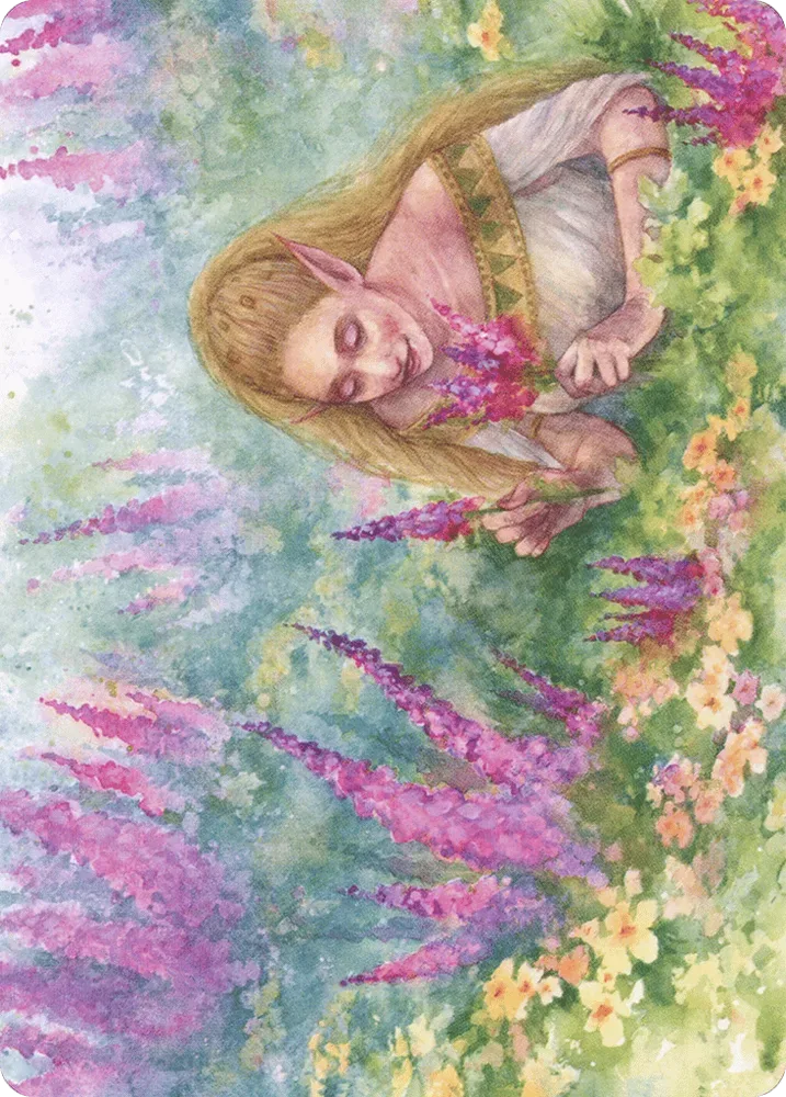 Abundant Harvest