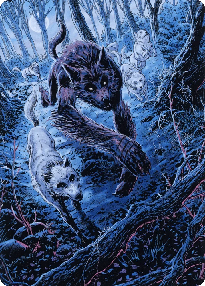 Untamed Pup
