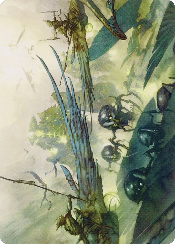 Invasion of Pyrulea
