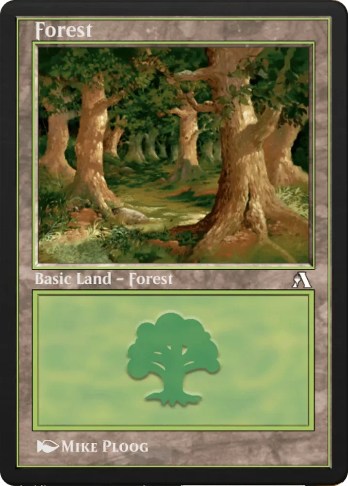 Forest