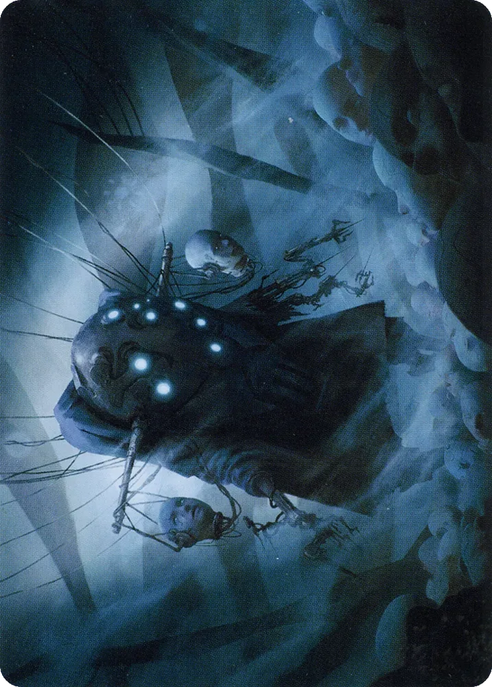 Meldweb Curator