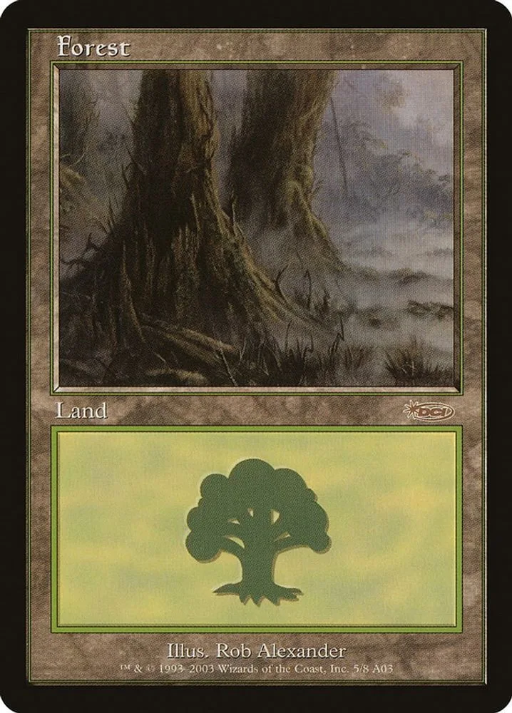 Forest (2003)