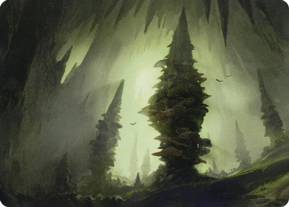 Forest (55/81) Art Card
