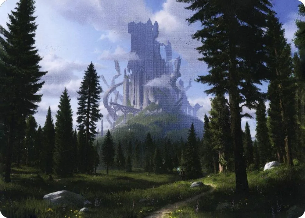 Forest (61/81) Art Card