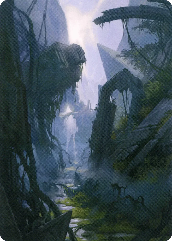 Swamp