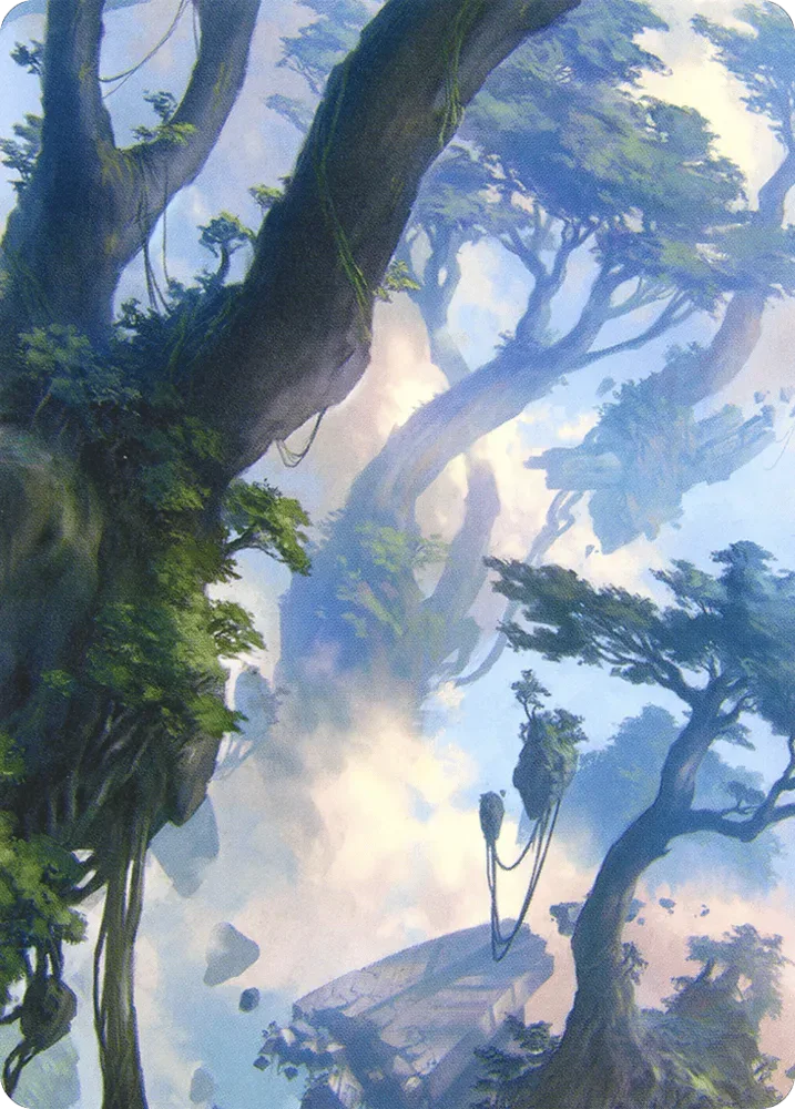 Forest