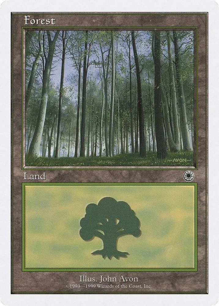 Forest (104)