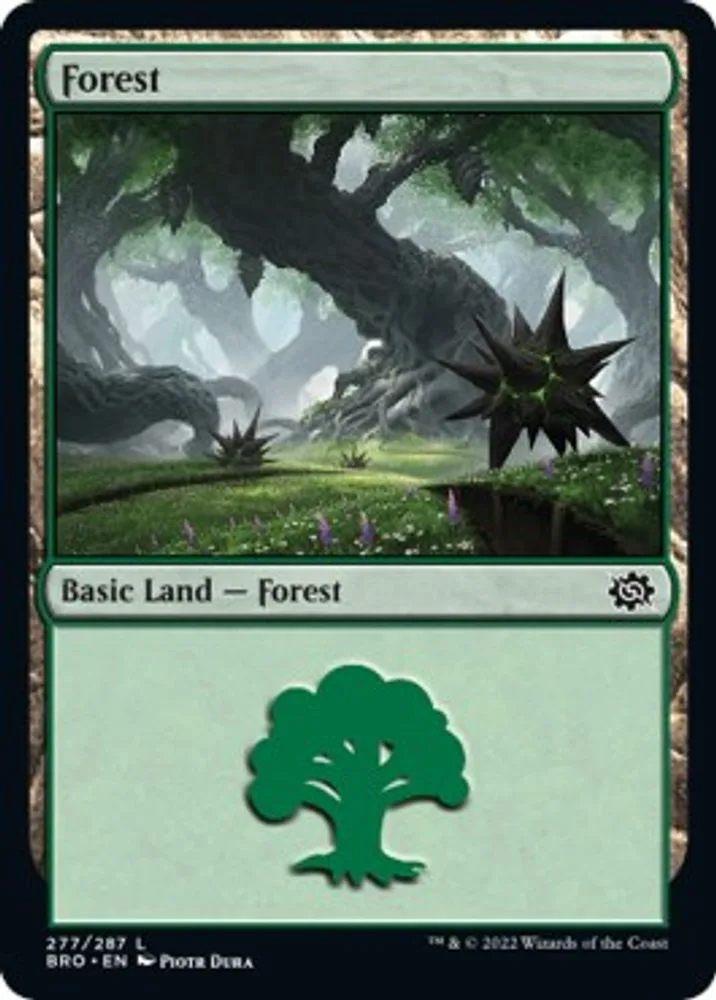 Forest
