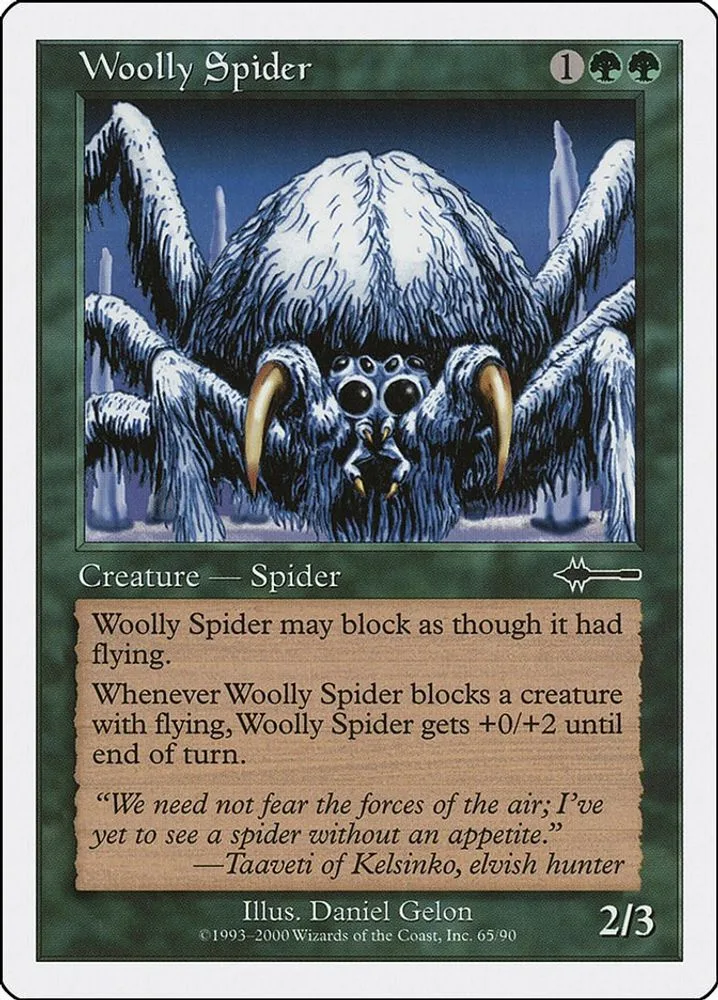 Woolly Spider