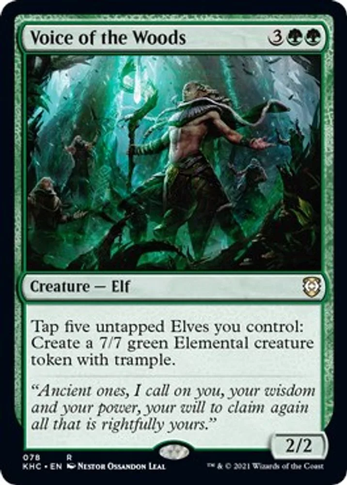 Voice of the Woods
