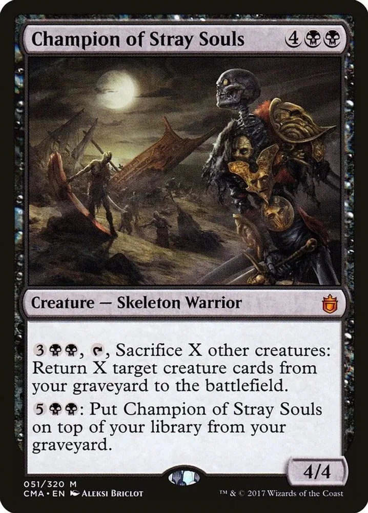 Champion of Stray Souls
