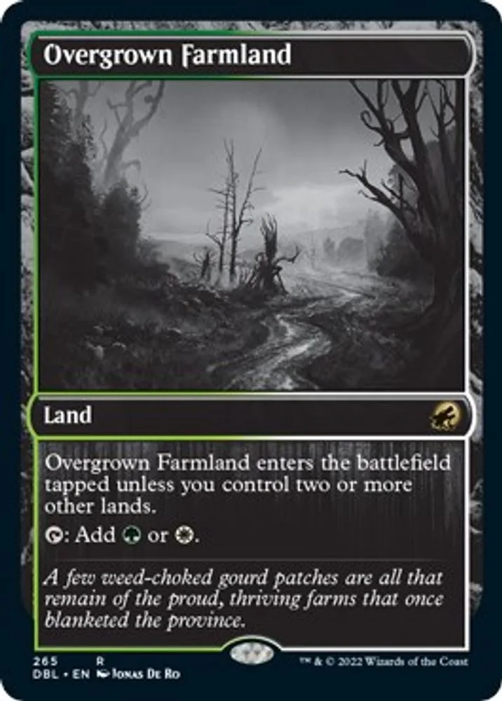 Overgrown Farmland