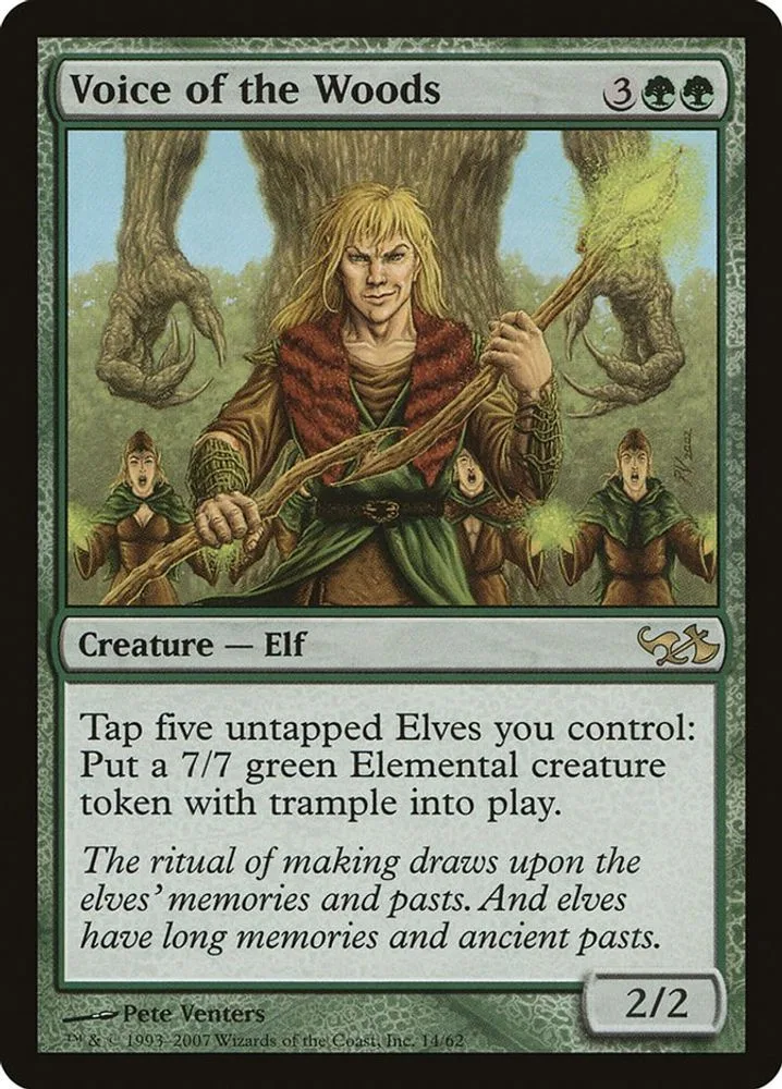 Voice of the Woods