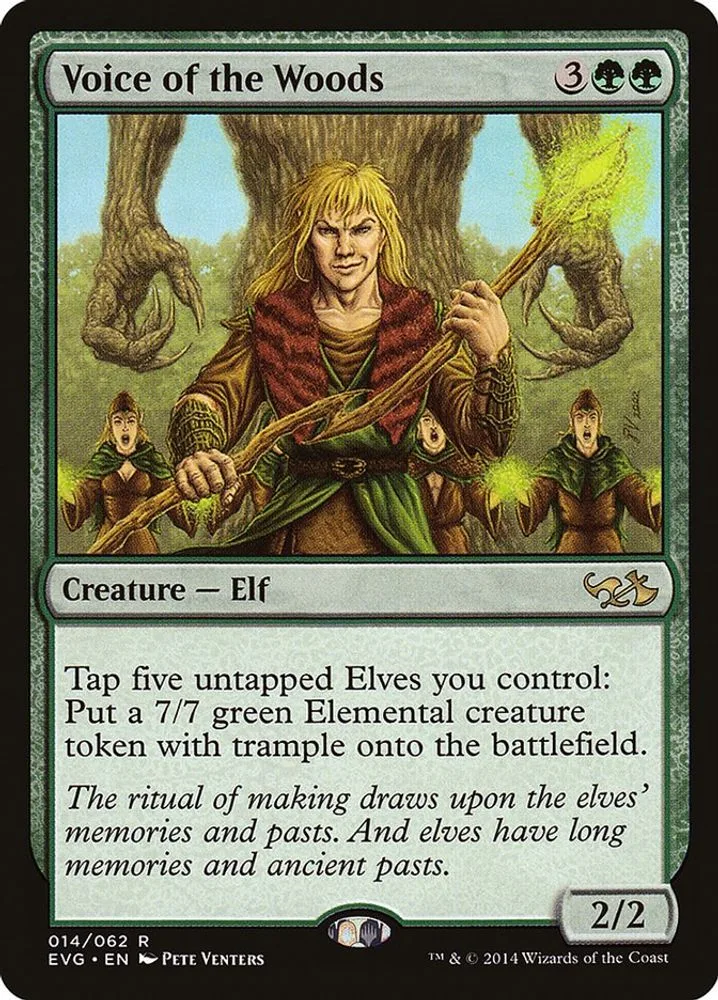 Voice of the Woods