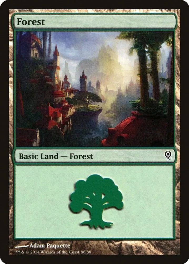 Forest