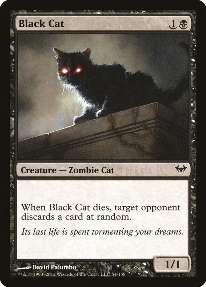 Black Cat