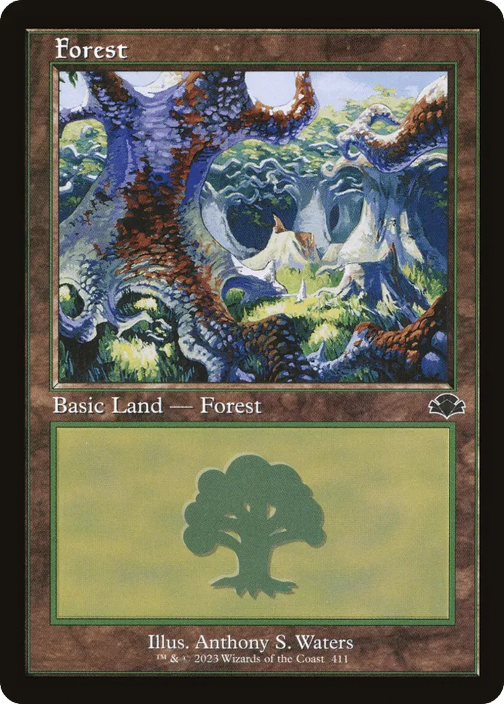 Forest