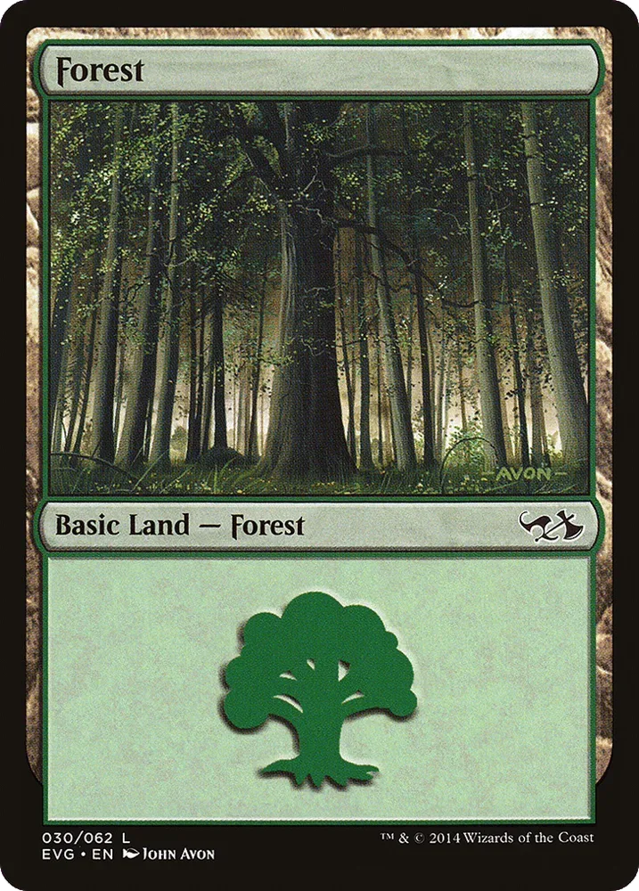 Forest