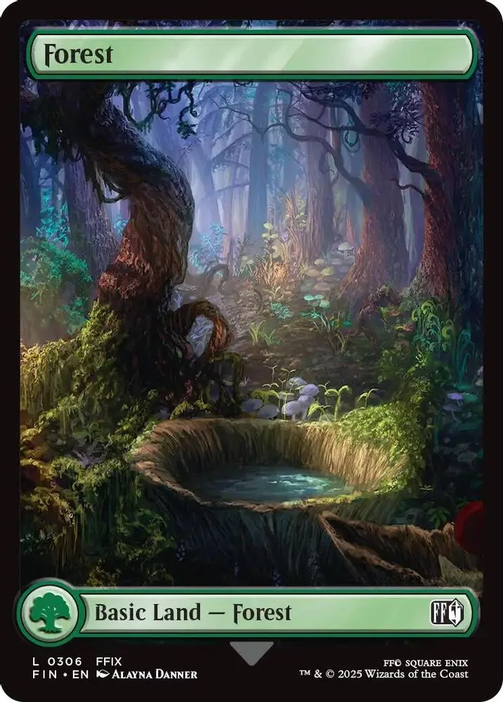 Forest