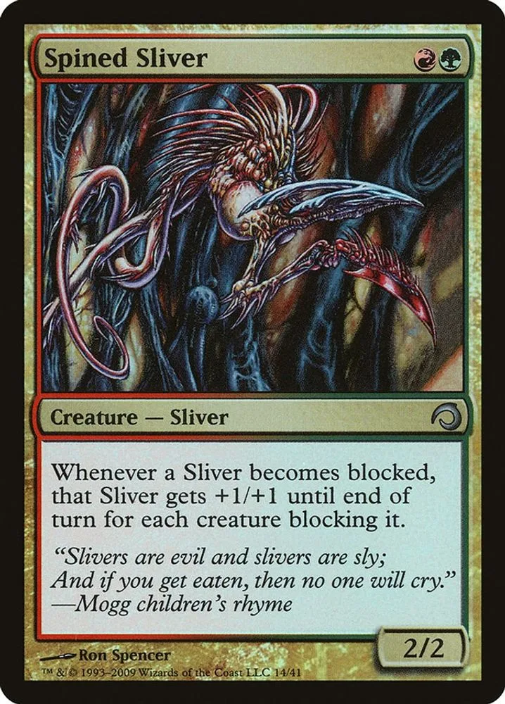 Spined Sliver