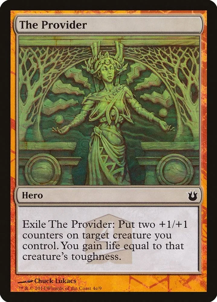 The Provider