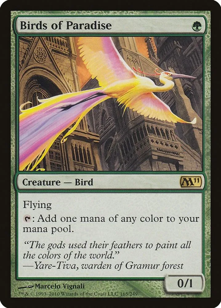 Birds of Paradise