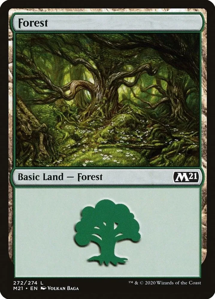 Forest