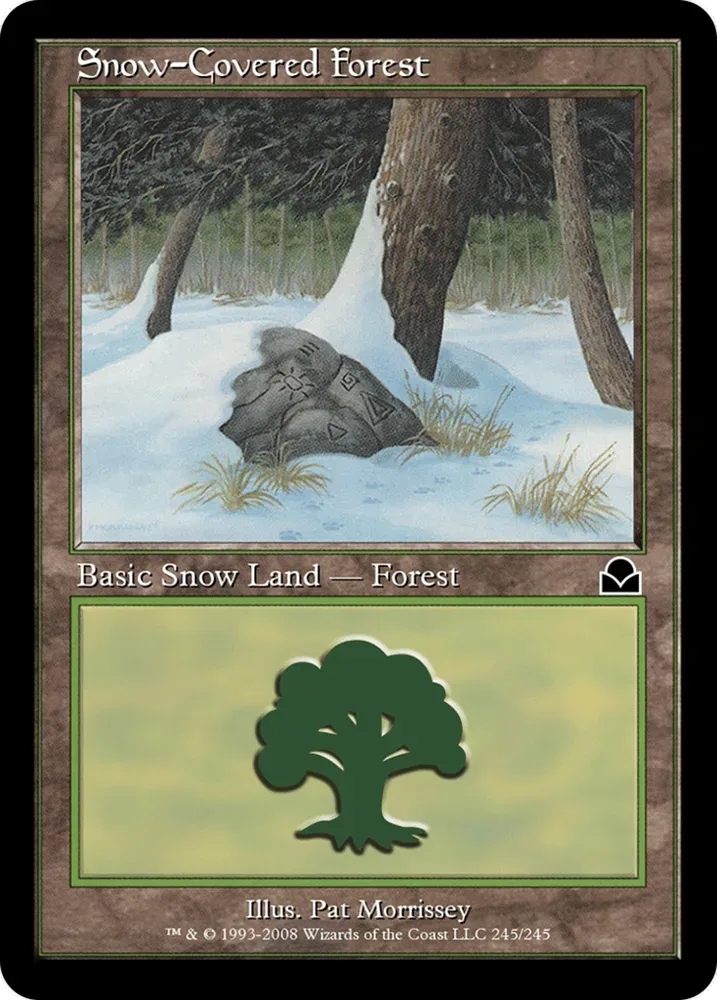 Snow-Covered Forest