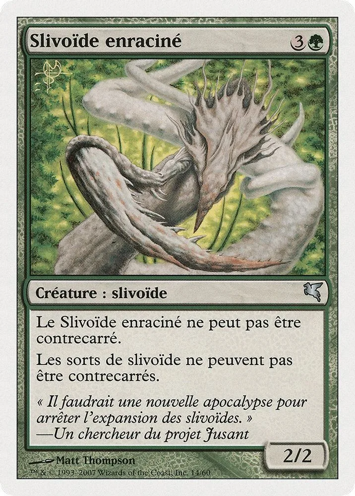 Root Sliver (French)