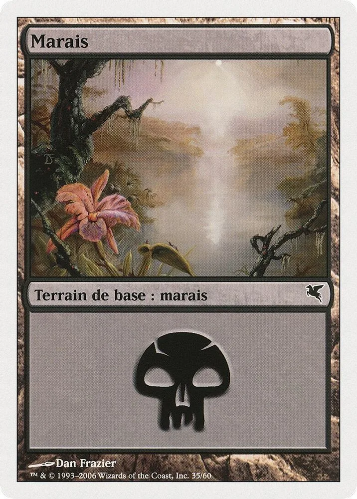 Swamp (French)
