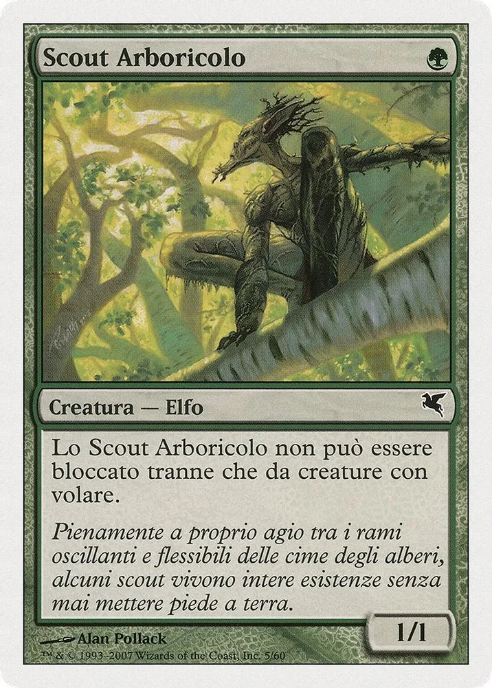 Treetop Scout (Italian)