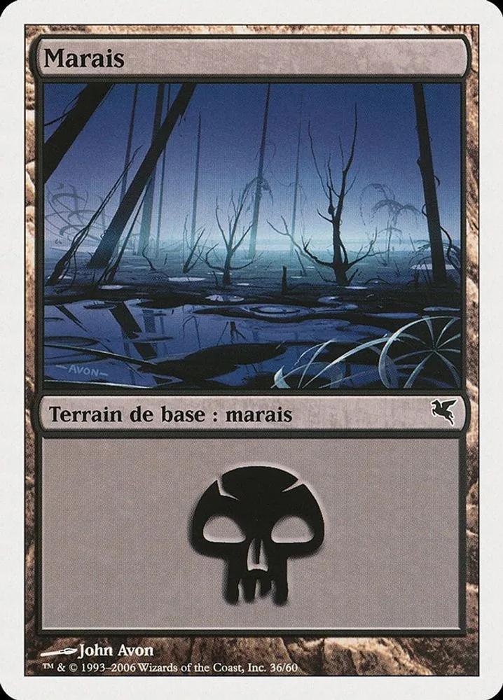 Swamp (French)