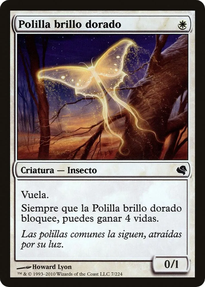 Goldenglow Moth (Spanish) - "Polilla brillo dorado"