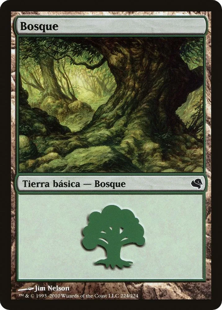 Forest (Spanish) - "Bosque"