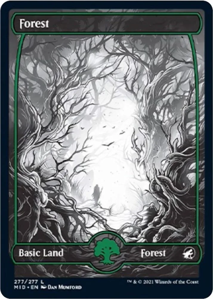 Forest