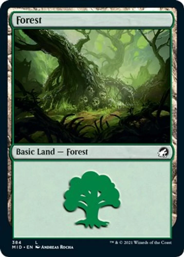 Forest