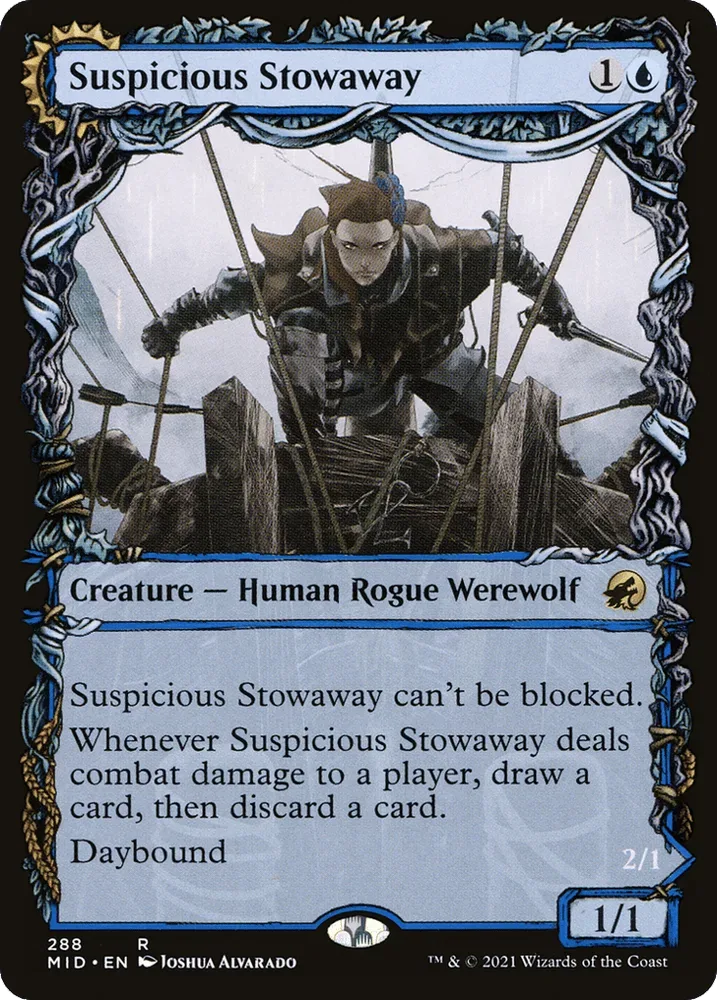Suspicious Stowaway