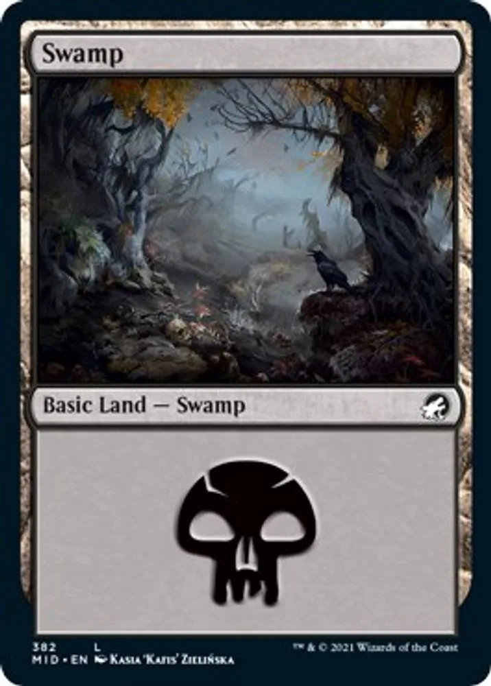 Swamp